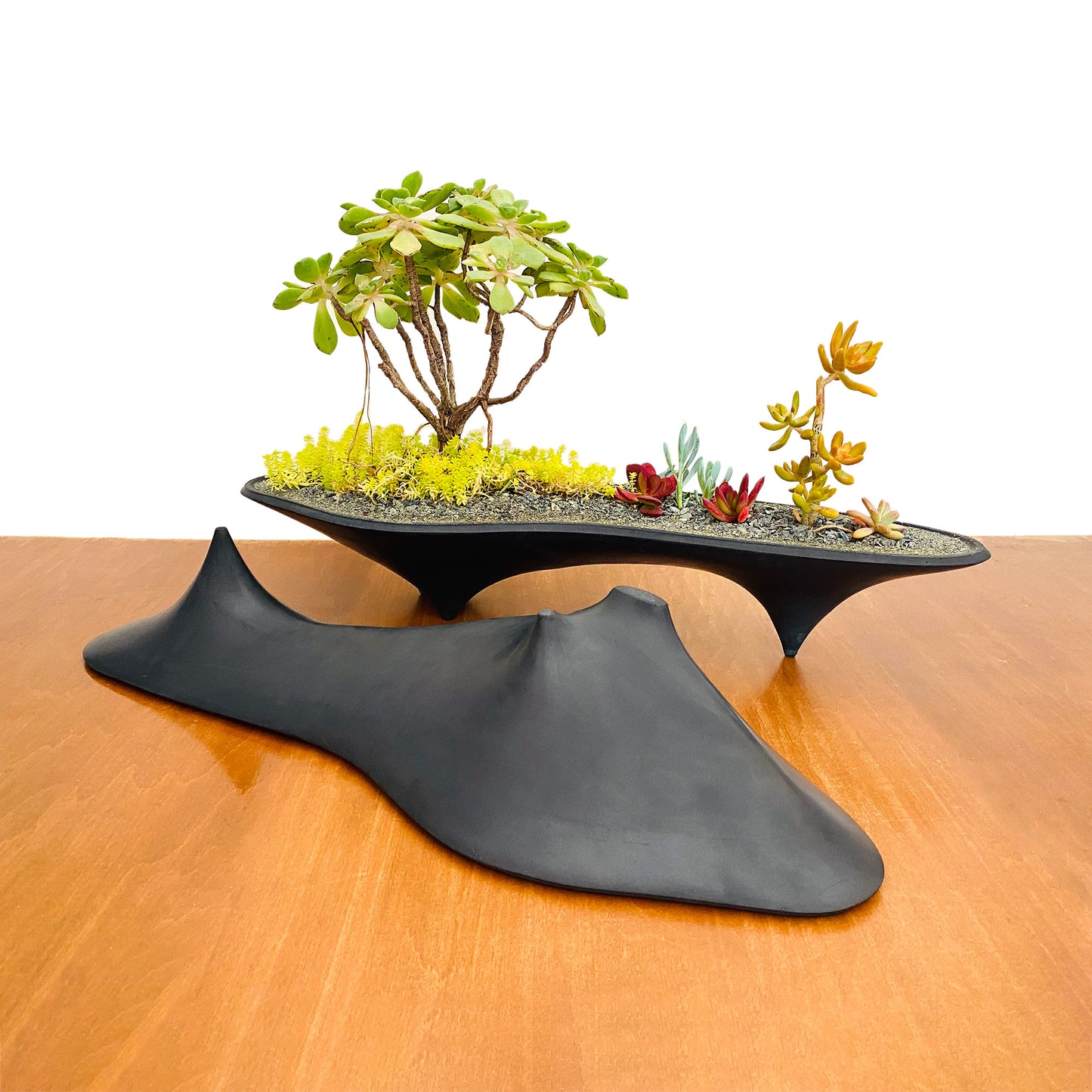 Island Planter – 21" Modern Concrete Container for Bonsai & Succulents