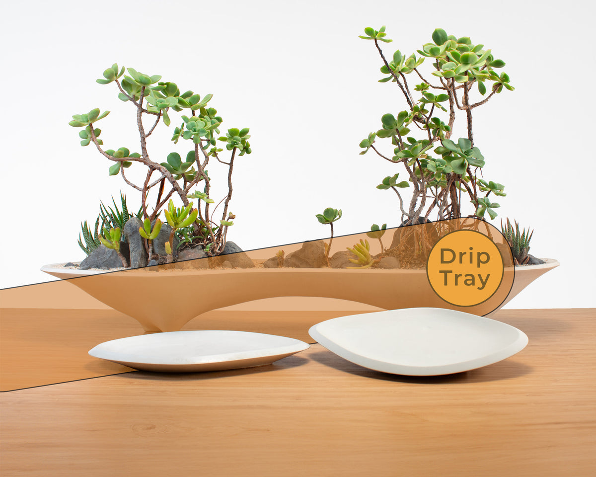 Twin Planter Drip Tray Set