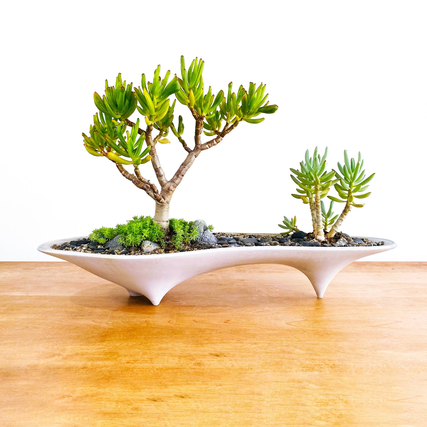 Island Planter – 21" Modern Concrete Container for Bonsai & Succulents