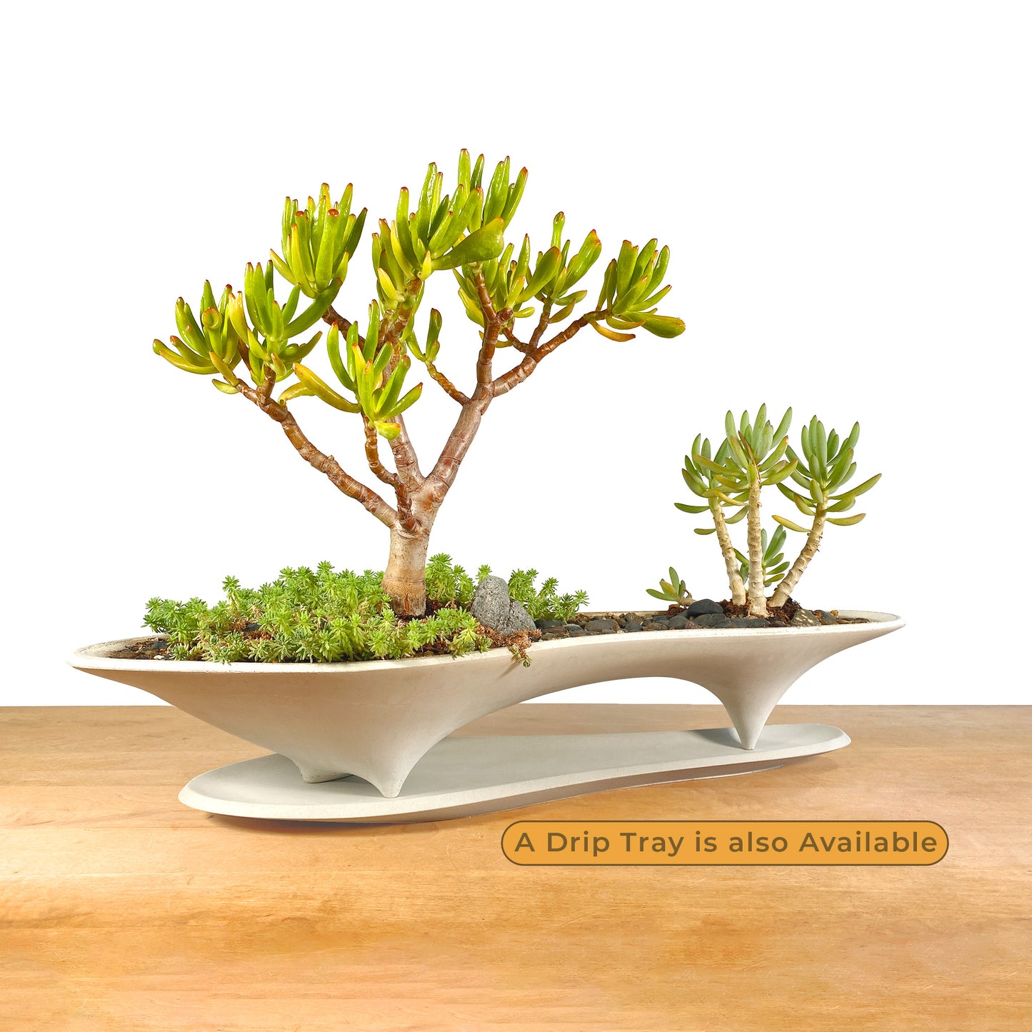 Island Planter – 21" Modern Concrete Container for Bonsai & Succulents