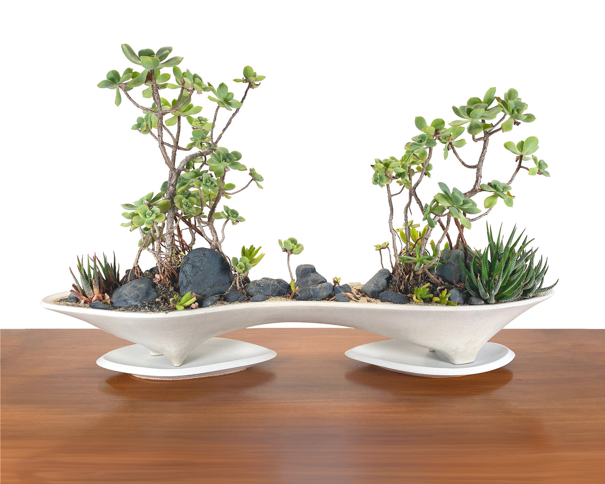 Twin Planter Drip Tray Set