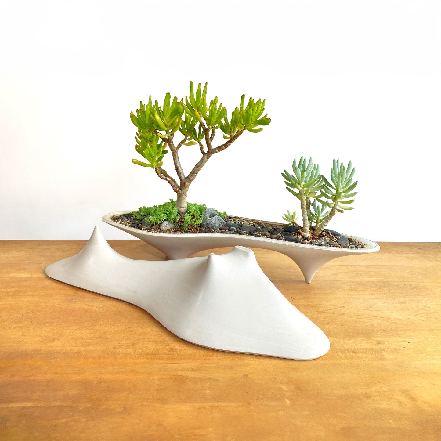 Island Planter – 21" Modern Concrete Container for Bonsai & Succulents