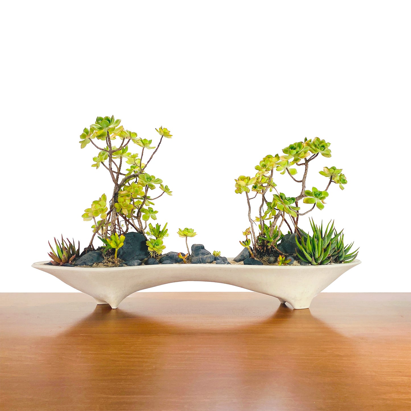 Twin Planter – 28" Long Concrete Planter for Bonsai & Succulent Displays