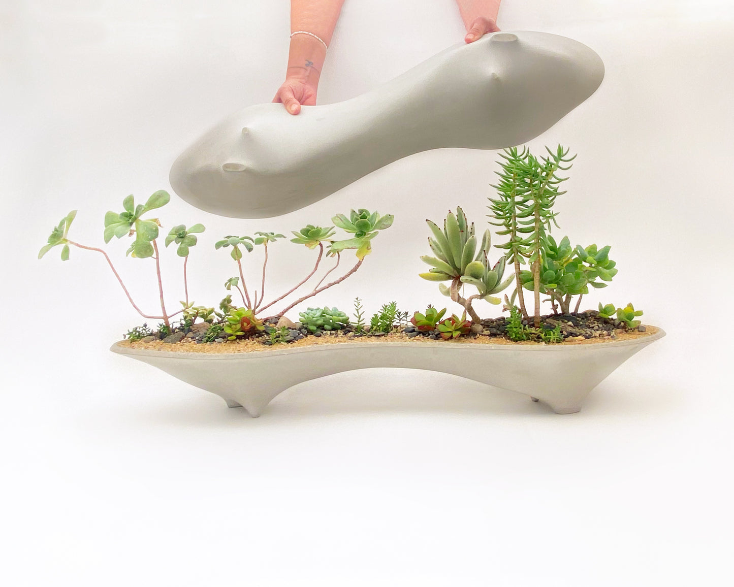 Twin Planter – 28" Long Concrete Planter for Bonsai & Succulent Displays