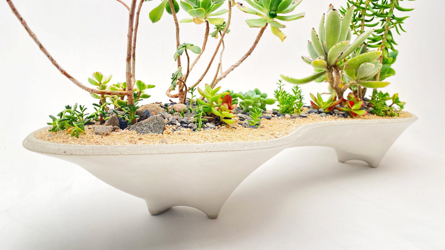 Twin Planter – 28" Long Concrete Planter for Bonsai & Succulent Displays