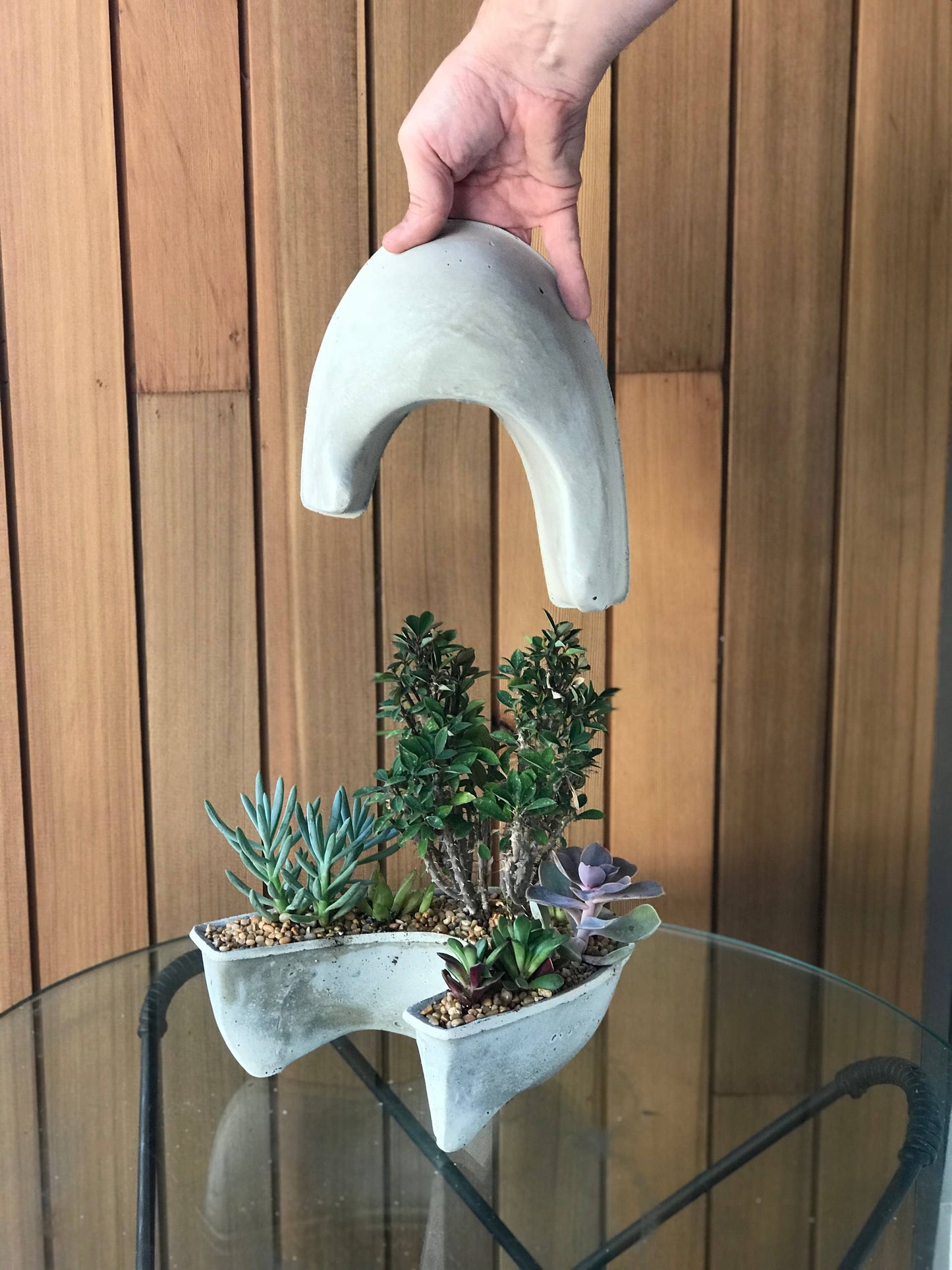 Crescent Moon Planter, succulent, home decor, concrete planter, moon, modern design, gift, indoor, outdoor, valentines gift