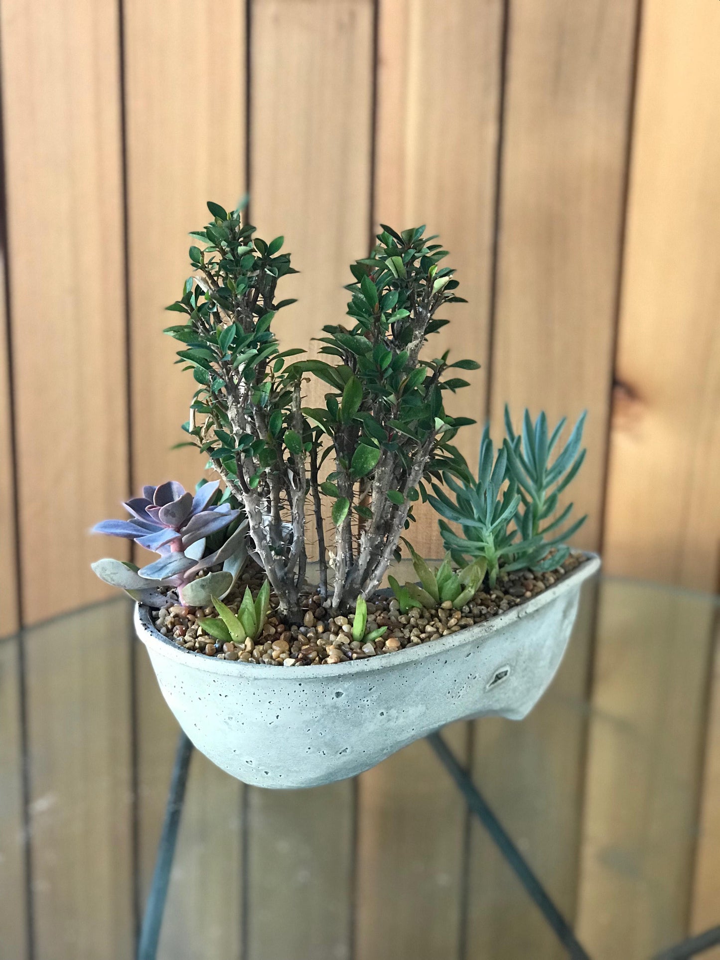 Crescent Moon Planter, succulent, home decor, concrete planter, moon, modern design, gift, indoor, outdoor, valentines gift