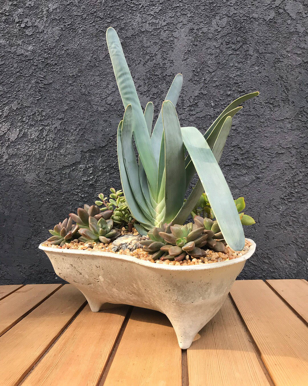 Rock Island Concrete Planter, modern, home decor, office planter, Gardening, Gift, valentine gift