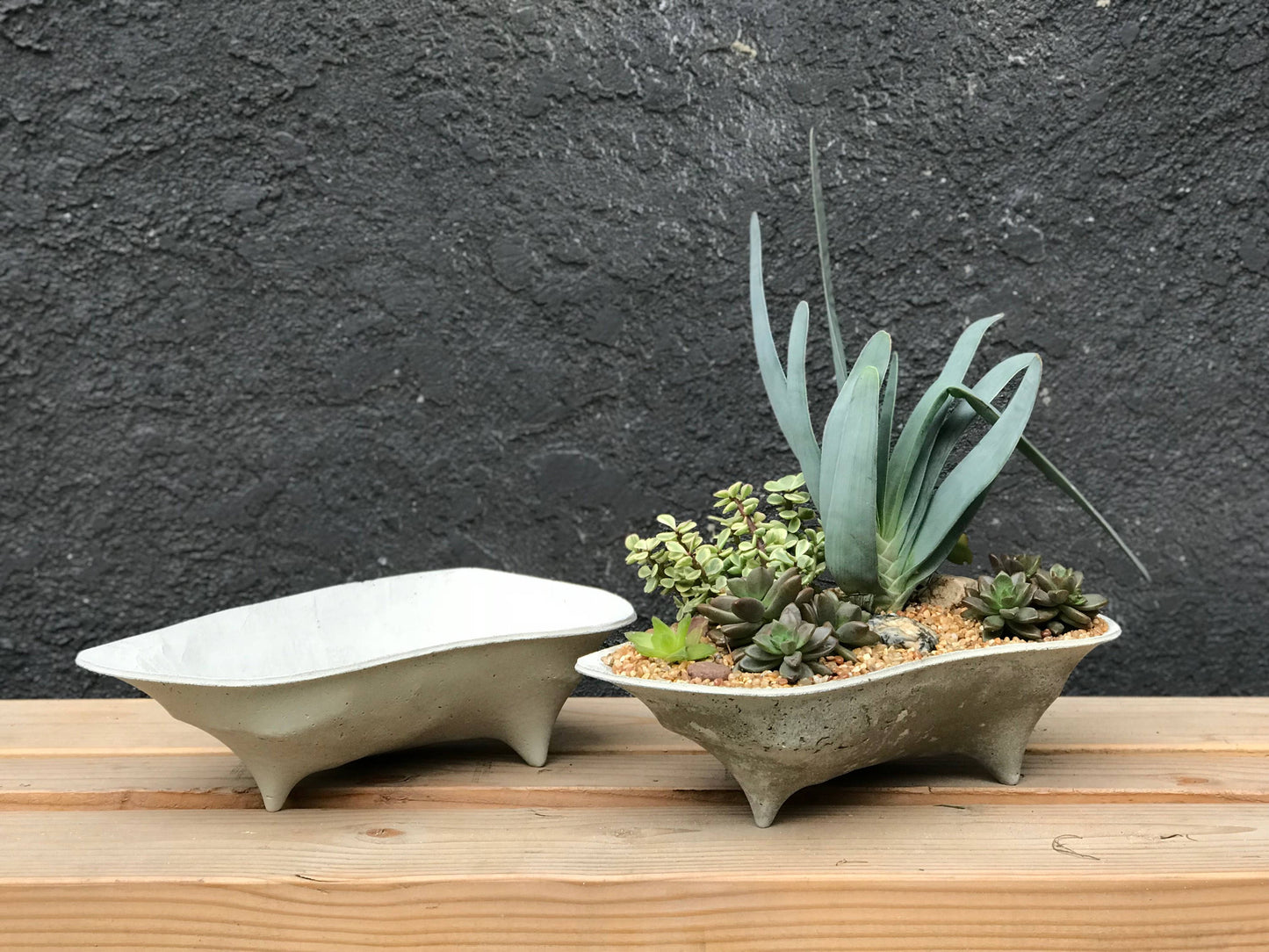 Rock Island Concrete Planter, modern, home decor, office planter, Gardening, Gift, valentine gift
