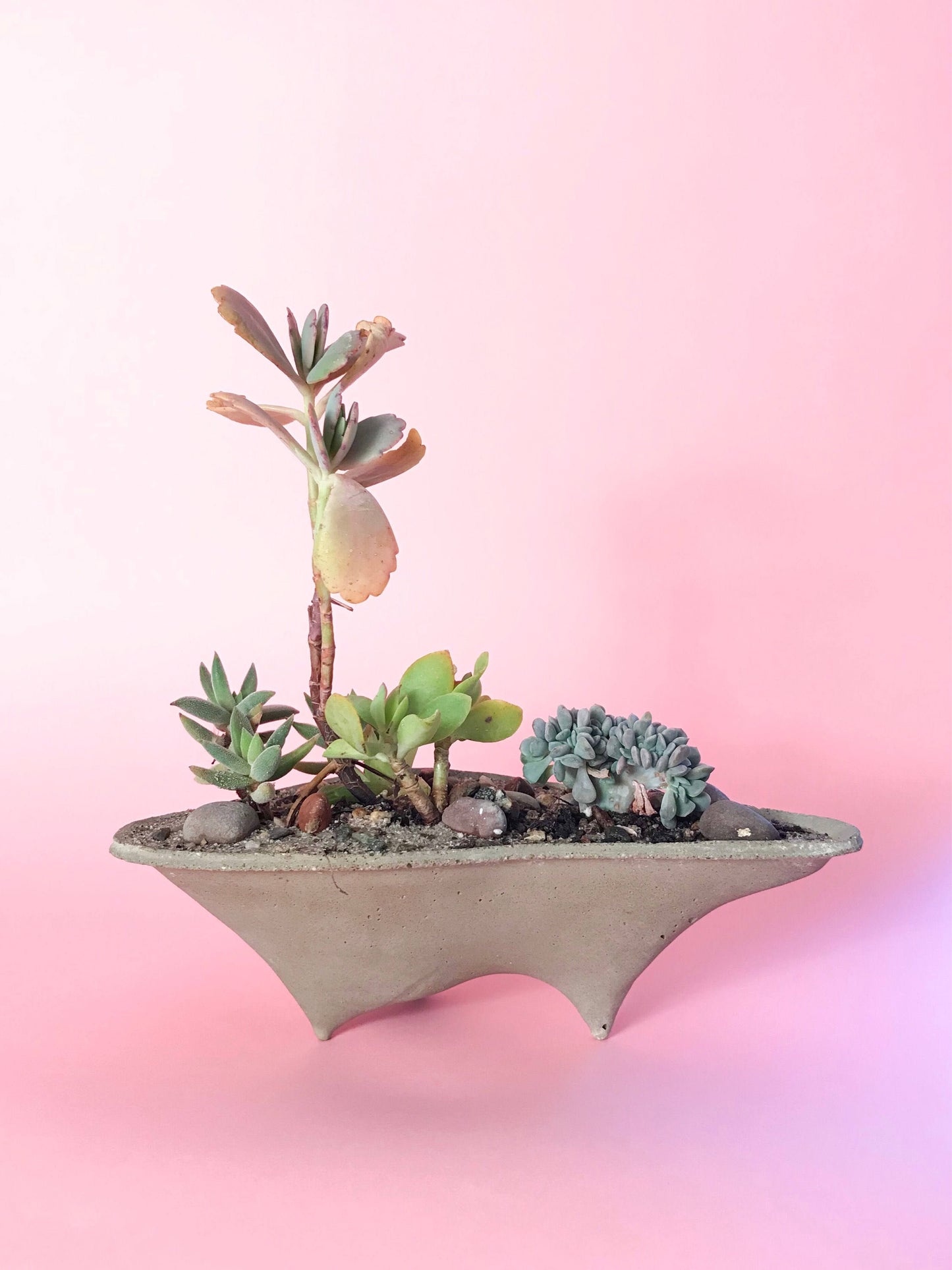 Mini Island Concrete Planter, Mini Planter, modern, home decor, office planter, Gardening Gift, valentines gift