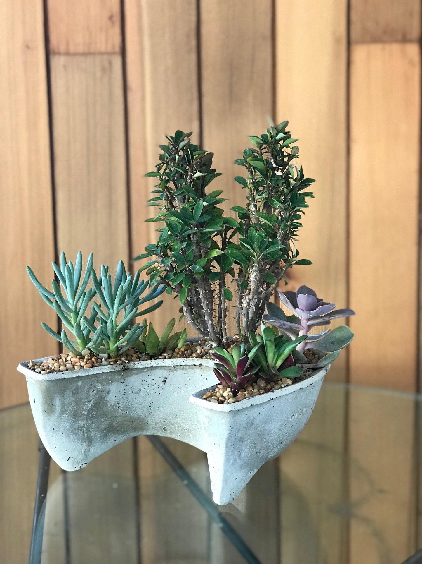 Crescent Moon Planter, succulent, home decor, concrete planter, moon, modern design, gift, indoor, outdoor, valentines gift