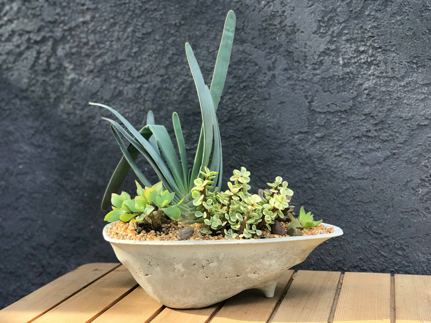 Rock Island Concrete Planter, modern, home decor, office planter, Gardening, Gift, valentine gift