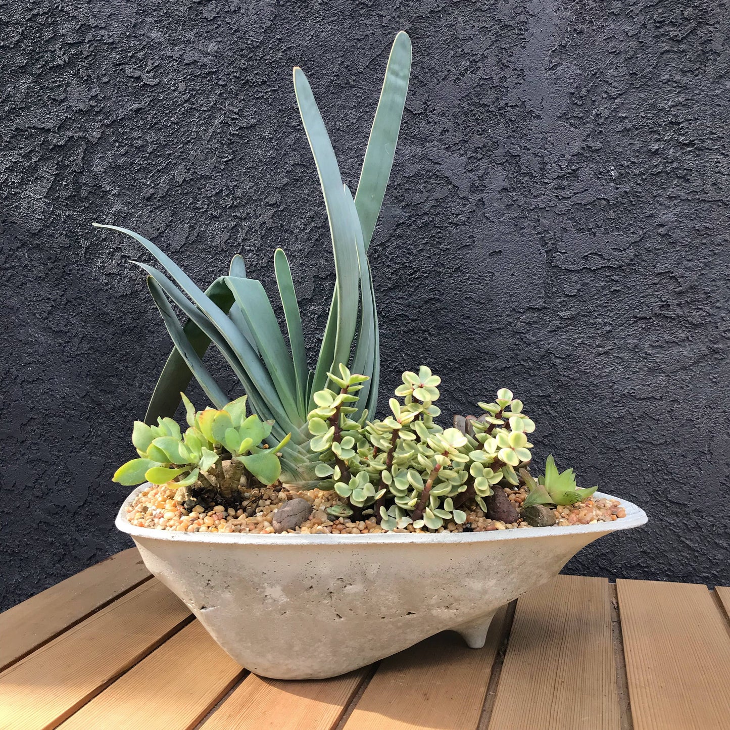Rock Island Concrete Planter, modern, home decor, office planter, Gardening, Gift, valentine gift