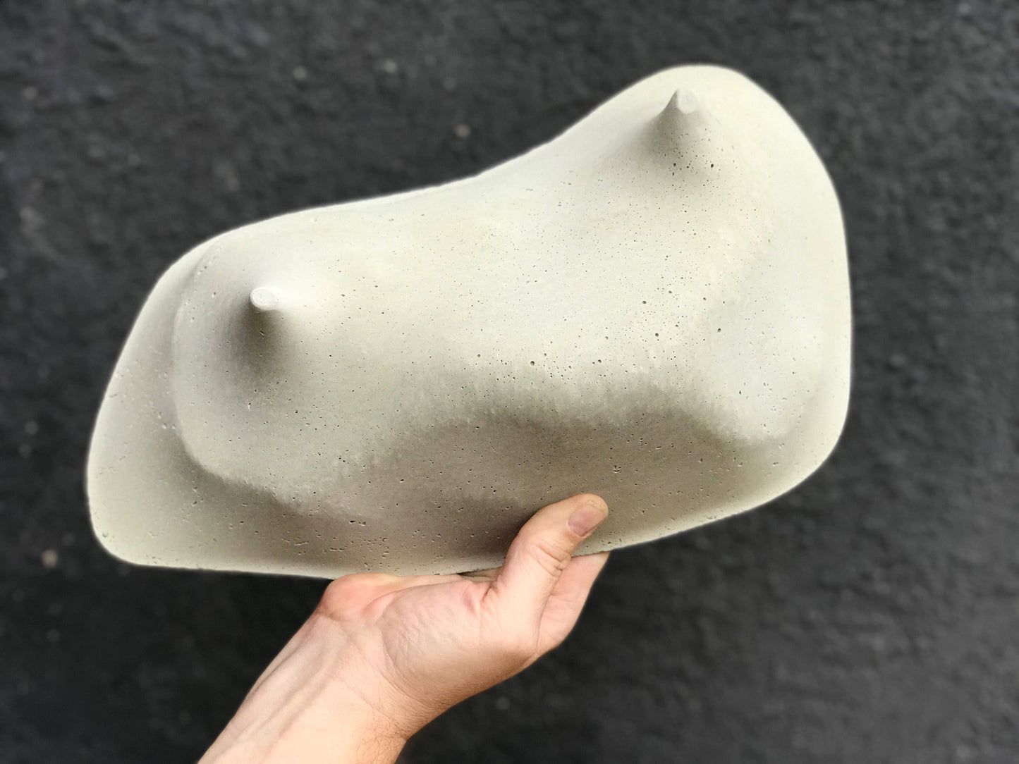 Rock Island Concrete Planter, modern, home decor, office planter, Gardening, Gift, valentine gift