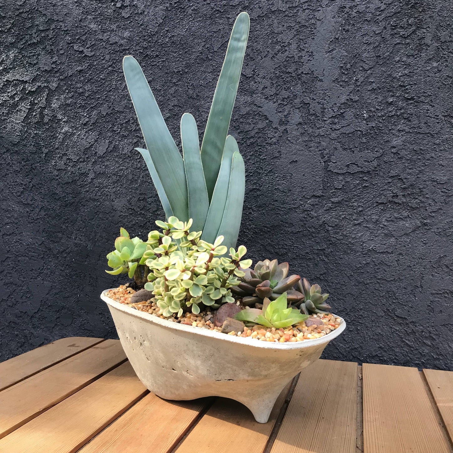 Rock Island Concrete Planter, modern, home decor, office planter, Gardening, Gift, valentine gift