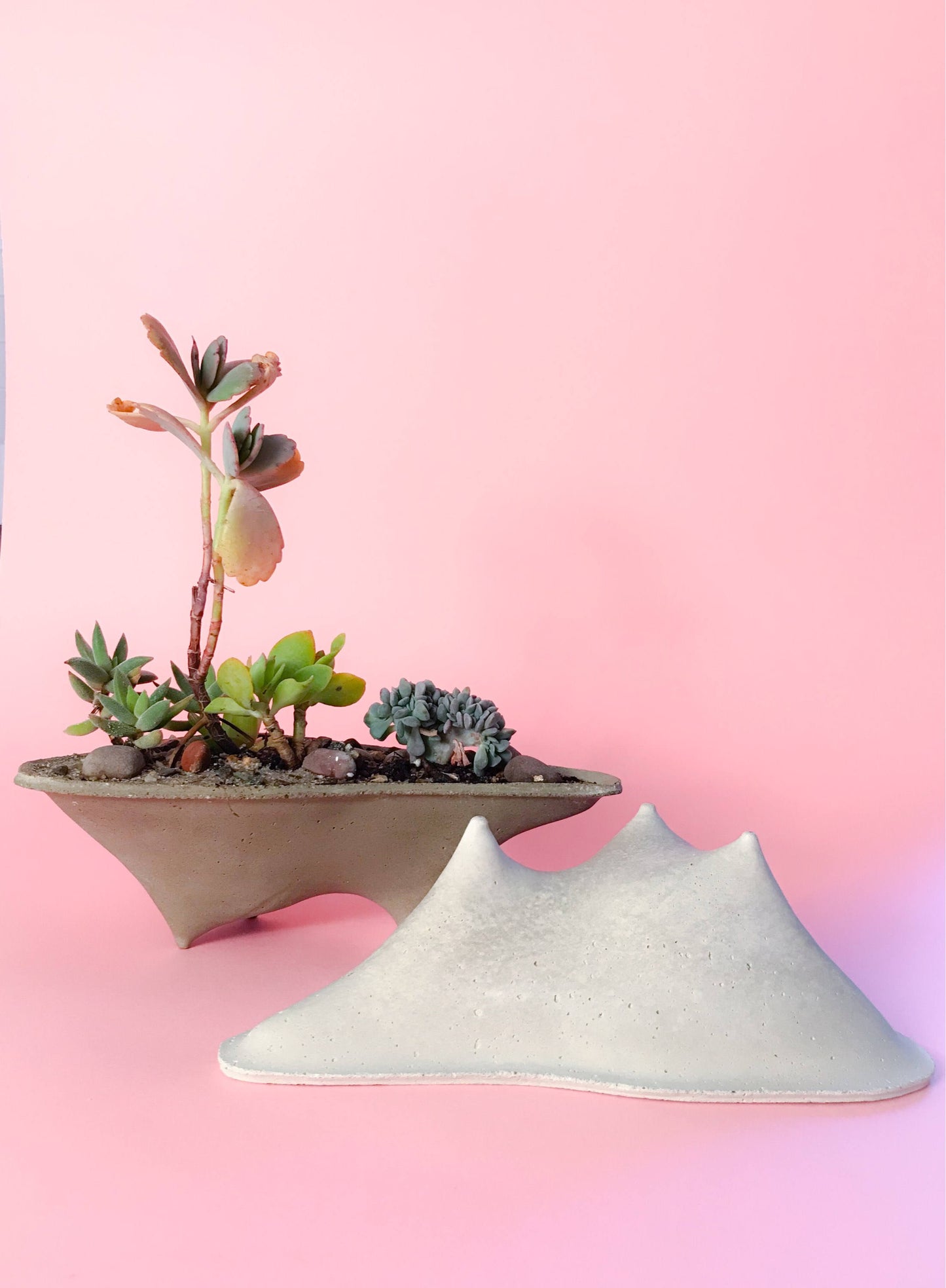 Mini Island Concrete Planter, Mini Planter, modern, home decor, office planter, Gardening Gift, valentines gift