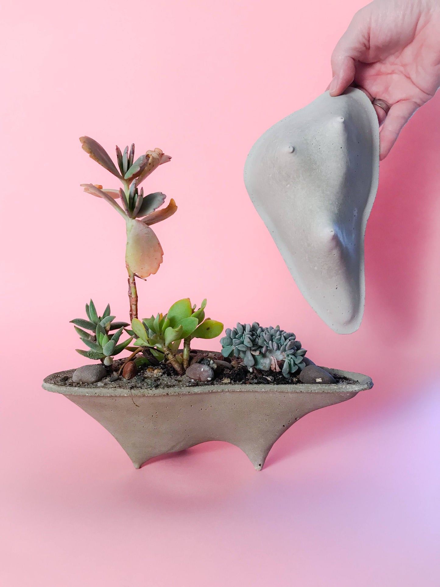 Mini Island Concrete Planter, Mini Planter, modern, home decor, office planter, Gardening Gift, valentines gift