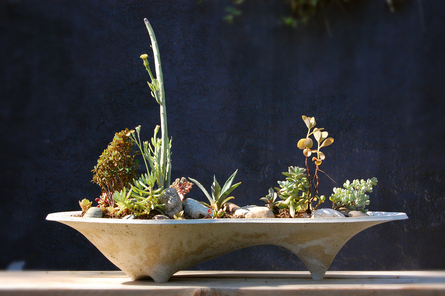 Large Island Concrete Planter, modern long planter