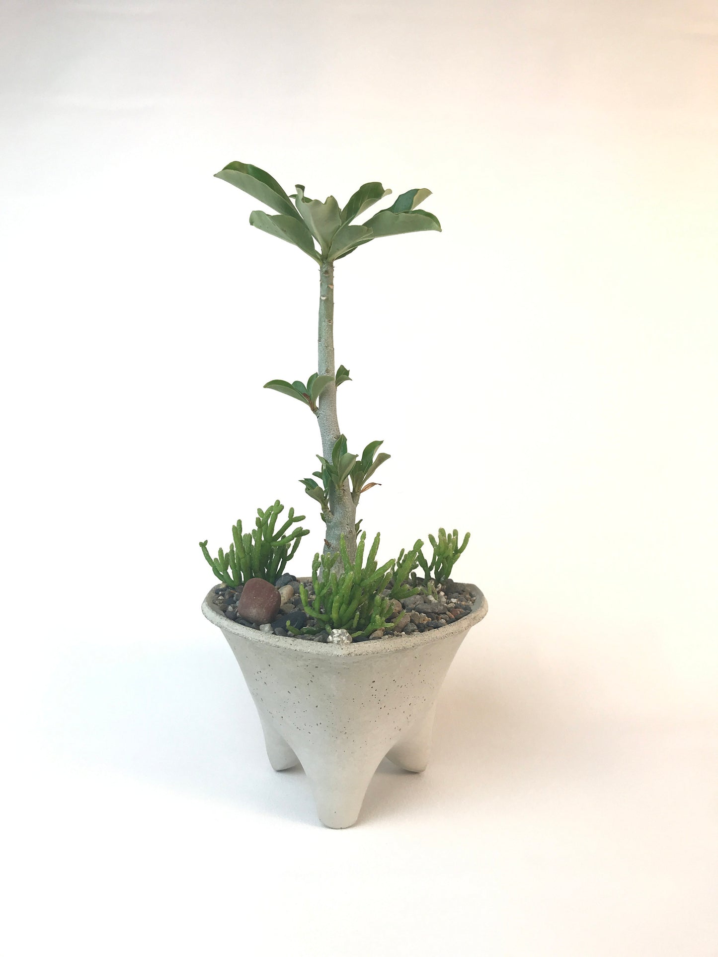 Triangle Modern Scucculent Planter | Concrete Planter | Small Modern Planter Design | Gift Size
