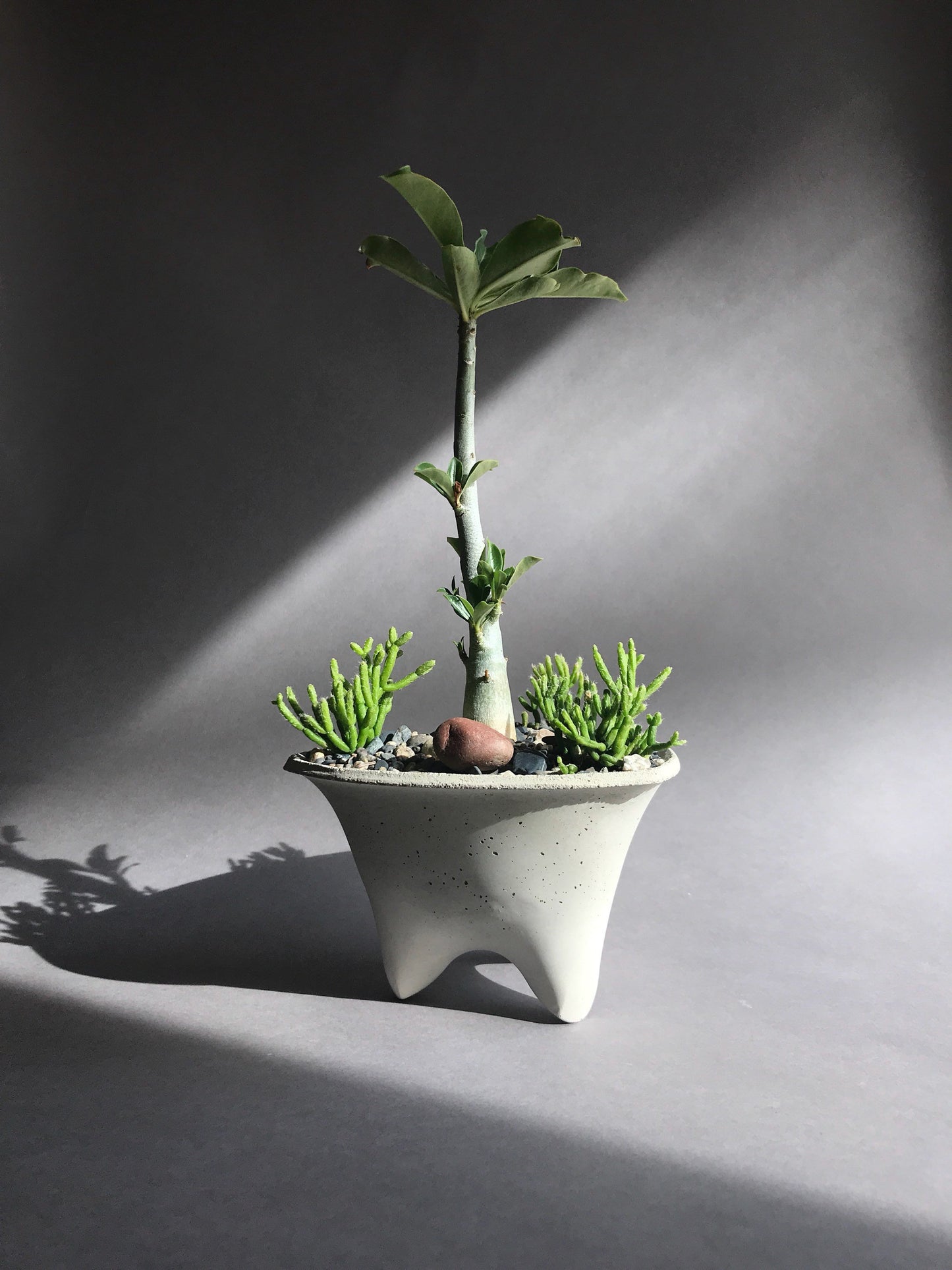 Triangle Modern Scucculent Planter | Concrete Planter | Small Modern Planter Design | Gift Size
