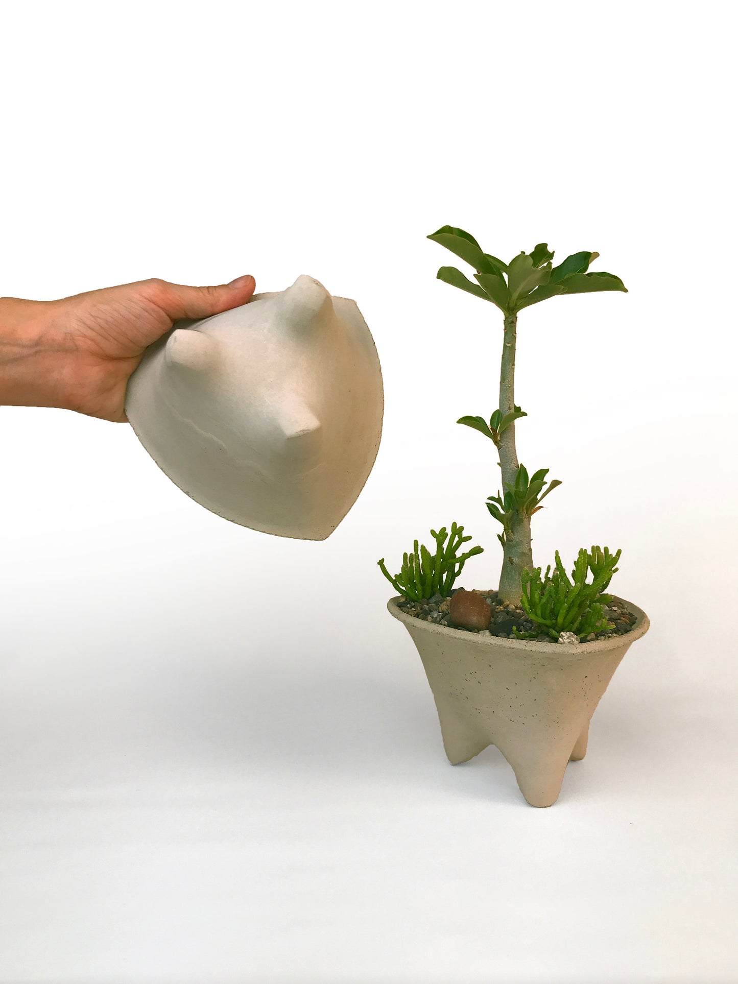 Triangle Modern Scucculent Planter | Concrete Planter | Small Modern Planter Design | Gift Size