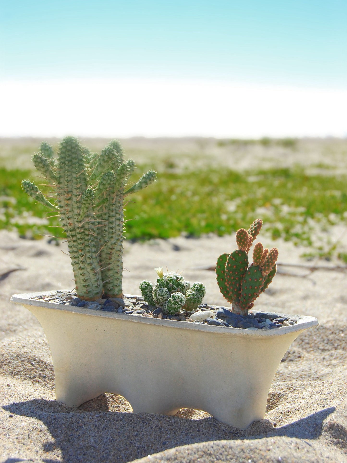 Bridge Planter - Modern Concrete Planter