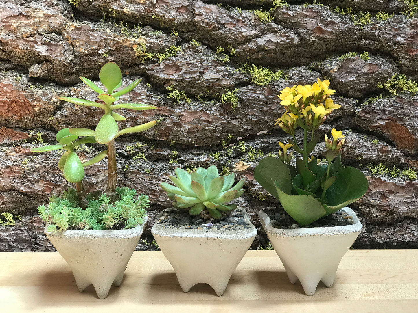 Pebble Gift Planters, Set of 3 Mini modern pots for succulent plants