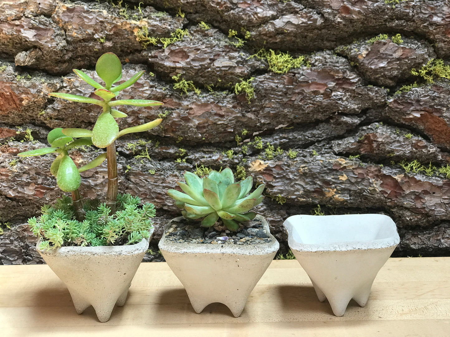 Pebble Gift Planters, Set of 3 Mini modern pots for succulent plants