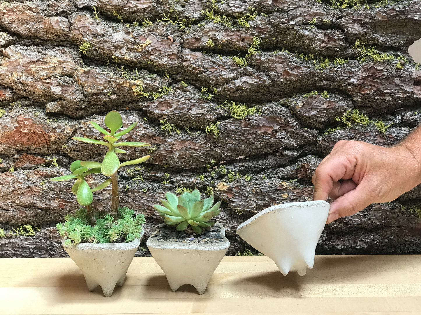 Pebble Gift Planters, Set of 3 Mini modern pots for succulent plants