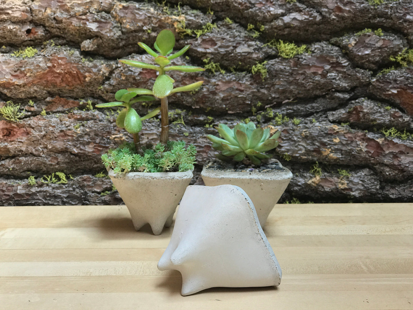 Pebble Gift Planters, Set of 3 Mini modern pots for succulent plants
