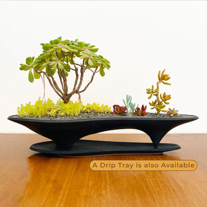 Island Planter – 21" Modern Concrete Container for Bonsai & Succulents