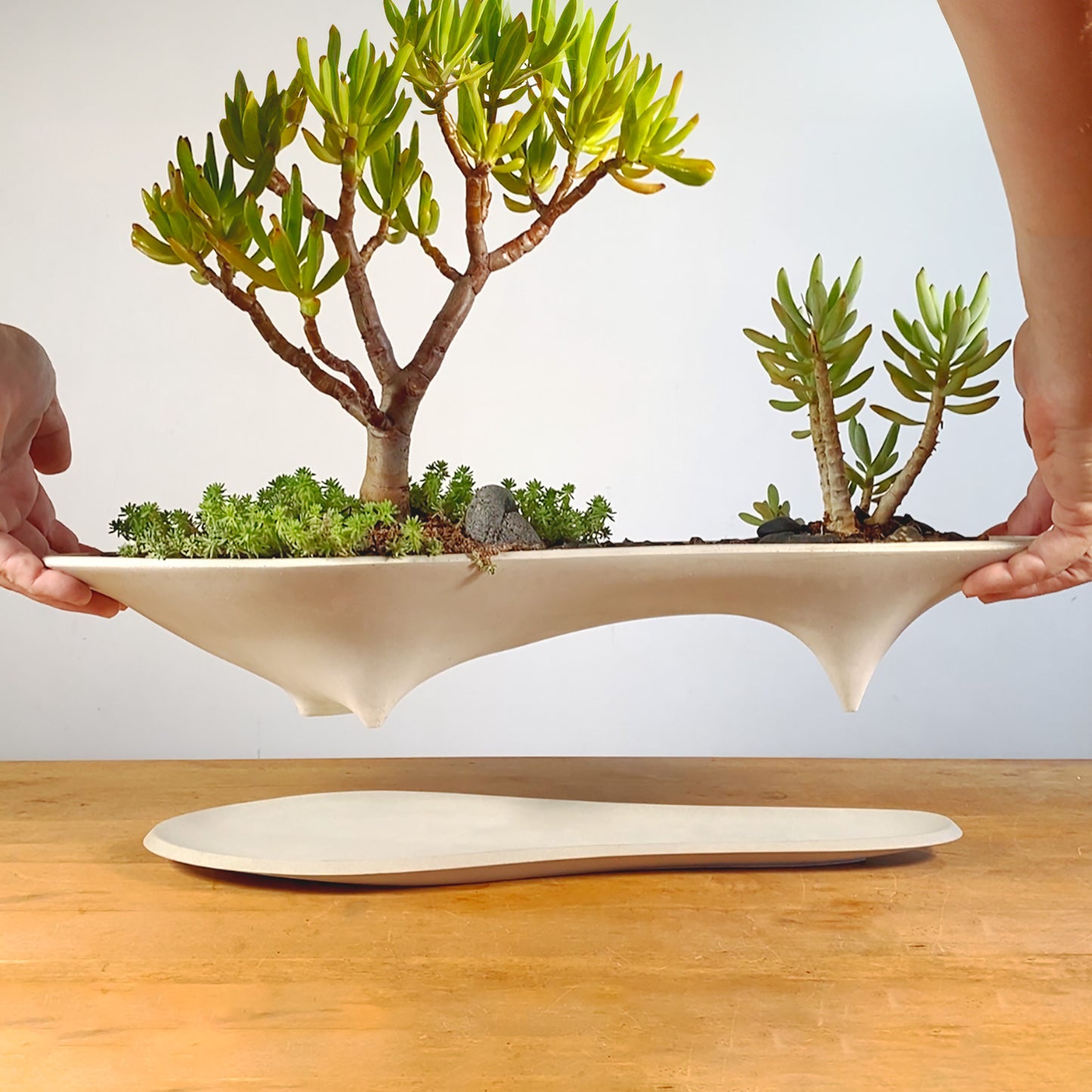 Island Planter – 21" Modern Concrete Container for Bonsai & Succulents