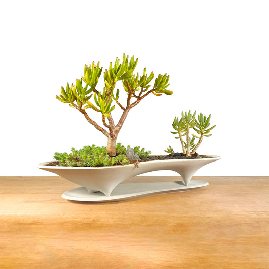 Island Planter with Drip Tray